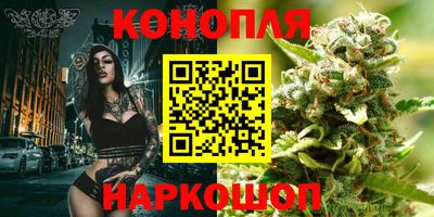 гашик Долгопрудный