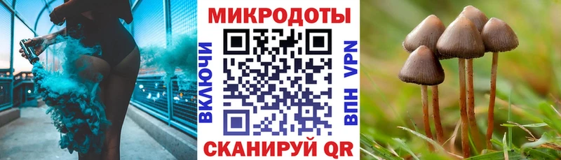 площадка клад  Саки  Псилоцибиновые грибы мицелий 