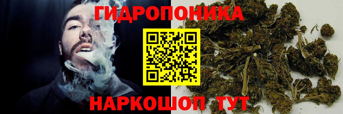 Бошки марихуана гибрид  Вход с VPN  МАРИХУАНА индика  Саки 
